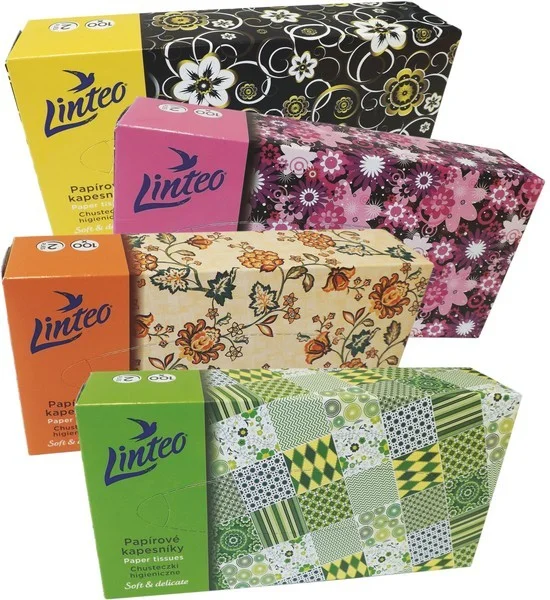 LINTEO CHUSTECZKI HIGIENICZNE 2 WARSTWOWE 100SZT