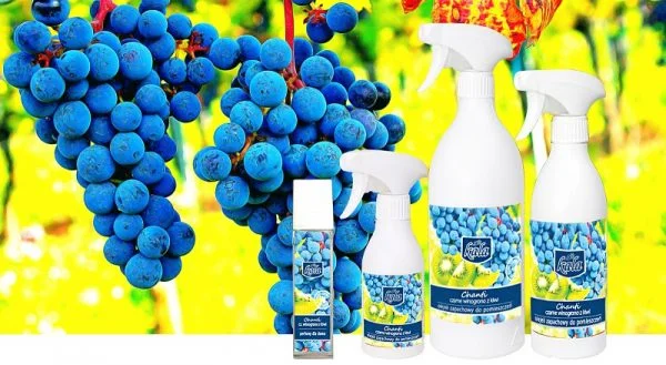 Olejek zapachowy Kala Chanti czarne winogrono 500 ml - obrazek 2