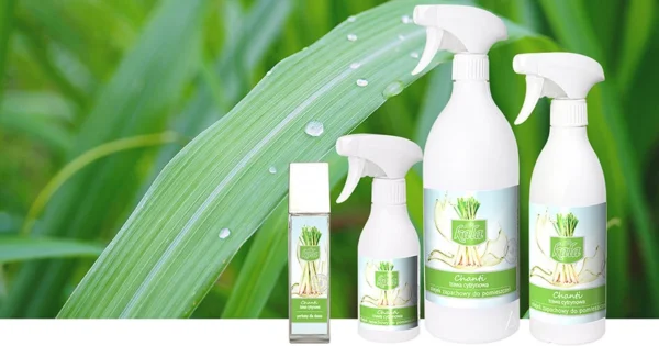 Olejek zapachowy Kala Chanti Trawa cytrynowa 500ml - obrazek 2
