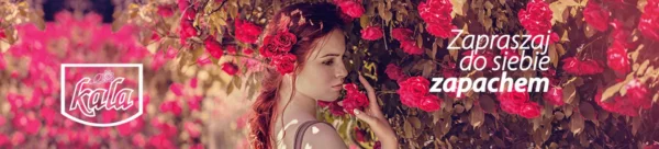 Kala FreshBlitz wkład do odświeżacza 260ml Diamond - obrazek 2