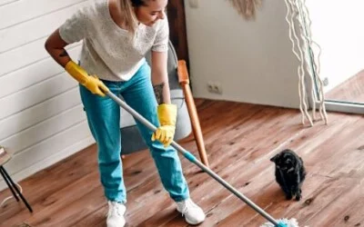 Czas na porządki jesienne: Wybór odpowiednich środków chemicznych z oferty Hurtowni