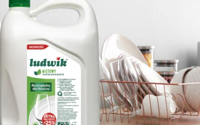 Odkryj najlepsze środki czystości do domu: Ranking płynów do podłóg i naczyń